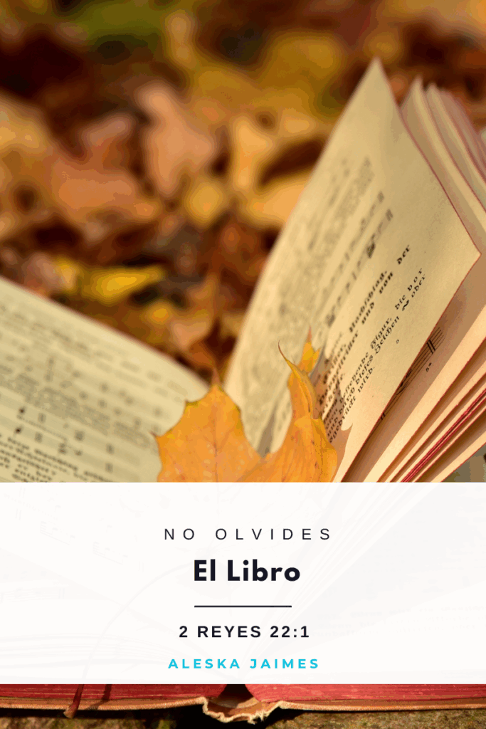 Lee más sobre el artículo No Olvides el Libro